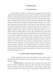 Plėtra tarptautinėse rinkose: šaldytuvų gamyba AB "Snaigė" 4 puslapis