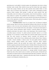 Plėtra tarptautinėse rinkose: šaldytuvų gamyba AB "Snaigė" 5 puslapis