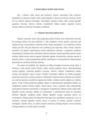 Plėtra tarptautinėse rinkose: šaldytuvų gamyba AB "Snaigė" 8 puslapis