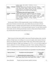 Plungės rajono gyvenamosios aplinkos įvertinimas 12 puslapis