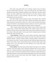 Prekės ženklo įvaizdžio kūrimas ir valdymas: "Coca-Cola" 2 puslapis