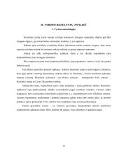 Prekės ženklo įvaizdžio kūrimas ir valdymas: "Coca-Cola" 14 puslapis