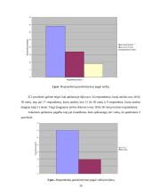 Prekės ženklo įvaizdžio kūrimas ir valdymas: "Coca-Cola" 16 puslapis