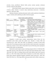 Prekės ženklo įvaizdžio kūrimas ir valdymas: "Coca-Cola" 8 puslapis