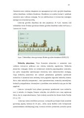 Privačių asmenų turtas 16 puslapis