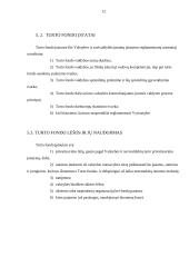 Privatinė nuosavybė ir jos raida Lietuvoje 12 puslapis