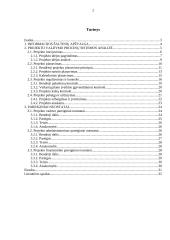 Projekto valdymo procesų sistemos analizė 2 puslapis