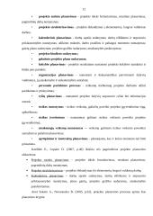 Projekto valdymo procesų sistemos analizė 12 puslapis