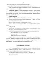 Projekto valdymo procesų sistemos analizė 14 puslapis