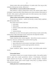 Projekto valdymo procesų sistemos analizė 15 puslapis