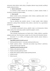 Projekto valdymo procesų sistemos analizė 17 puslapis