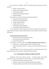 Projekto valdymo procesų sistemos analizė 19 puslapis
