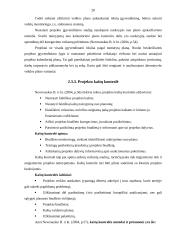 Projekto valdymo procesų sistemos analizė 20 puslapis