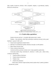 Projekto valdymo procesų sistemos analizė 7 puslapis