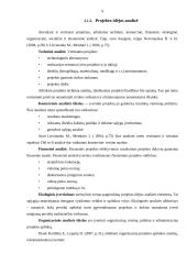 Projekto valdymo procesų sistemos analizė 9 puslapis