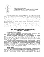 Puslaidininkinių integrinių schemų gamyba 10 puslapis