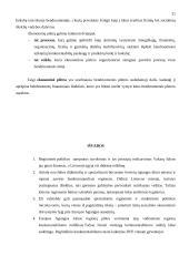 Regionų būklę įvertinančių kriterijų kompleksas: užsienio šalių patirtis 20 puslapis