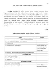 Regionų būklę įvertinančių kriterijų kompleksas: užsienio šalių patirtis 10 puslapis