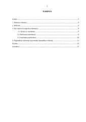 Reklama. Rėmimo veiksniai 2 puslapis