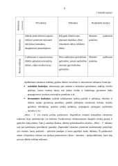 Reklama. Rėmimo veiksniai 8 puslapis