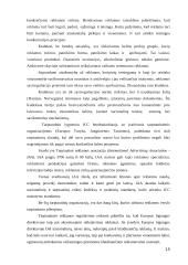 Šalies reklamos rinkos ypatumai 12 puslapis