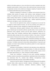 Šalies reklamos rinkos ypatumai 17 puslapis