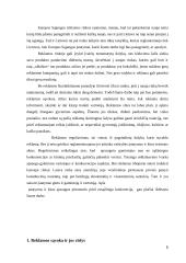 Šalies reklamos rinkos ypatumai 2 puslapis