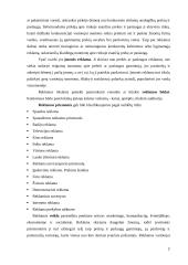 Šalies reklamos rinkos ypatumai 4 puslapis