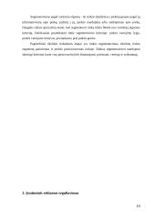 Šalies reklamos rinkos ypatumai 7 puslapis