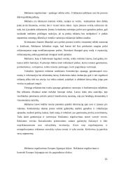 Šalies reklamos rinkos ypatumai 8 puslapis