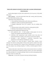 Rinkodara: mokslinės literatūros analizė 6 puslapis