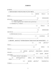 Rinkodaros veiklos planavimas: mėsos perdirbimo įmonė UAB "Biovela" 2 puslapis