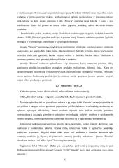 Rinkodaros veiklos planavimas: mėsos perdirbimo įmonė UAB "Biovela" 13 puslapis