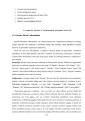 Rinkodaros veiklos planavimas: mėsos perdirbimo įmonė UAB "Biovela" 14 puslapis