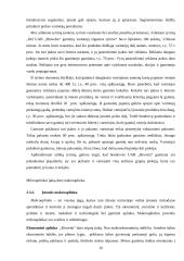 Rinkodaros veiklos planavimas: mėsos perdirbimo įmonė UAB "Biovela" 16 puslapis