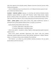 Rinkodaros veiklos planavimas: mėsos perdirbimo įmonė UAB "Biovela" 17 puslapis