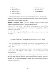 Rinkodaros veiklos planavimas: mėsos perdirbimo įmonė UAB "Biovela" 18 puslapis