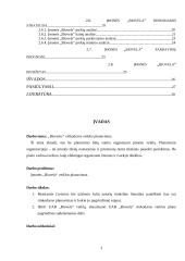 Rinkodaros veiklos planavimas: mėsos perdirbimo įmonė UAB "Biovela" 3 puslapis