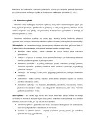 Rinkodaros veiklos planavimas: mėsos perdirbimo įmonė UAB "Biovela" 6 puslapis