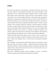 Serveriai ir jų tipai 2 puslapis