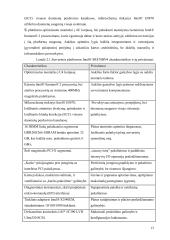 Serveriai ir jų tipai 13 puslapis