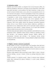 Serveriai ir jų tipai 4 puslapis