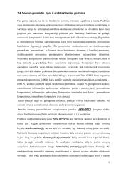 Serveriai ir jų tipai 5 puslapis