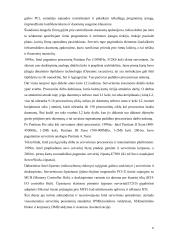 Serveriai ir jų tipai 6 puslapis