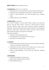 Serveriai ir jų tipai 7 puslapis