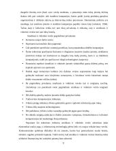 Smulkaus ir vidutinio verslo analizė Lietuvoje 11 puslapis