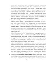 Smulkaus ir vidutinio verslo analizė Lietuvoje 17 puslapis