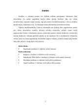 Smulkaus ir vidutinio verslo analizė Lietuvoje 3 puslapis