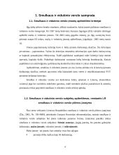 Smulkaus ir vidutinio verslo analizė Lietuvoje 4 puslapis