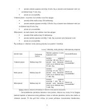 Smulkaus ir vidutinio verslo analizė Lietuvoje 5 puslapis